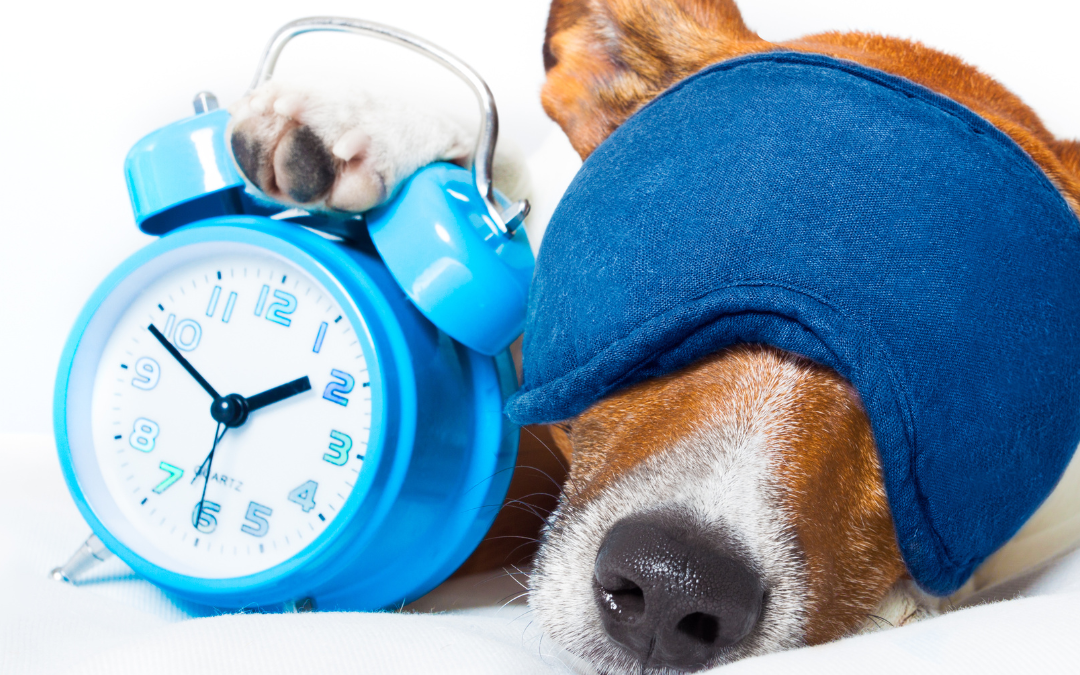 QUOTABLES: Falling Asleep Quickly!